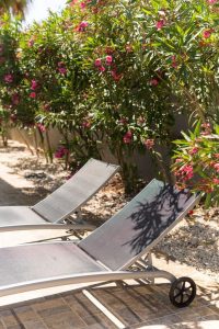 Swim.Pool-area-682x1024